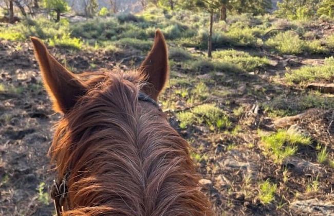 Red Canyon Lodge - Foto 46