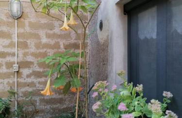 Il Giardino Segreto - Foto 11