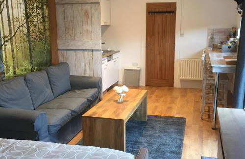 Willow Court Farm Studio West & Petting Farm, 8 mins to Legoland & Windsor, 15 mins to Lapland UK - Foto 9