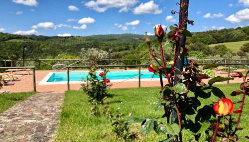 Farmhouse Gello by ToscanaTour - Foto 3, Garden, sunbed