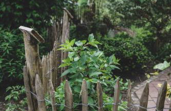 Ferienwohnung Traudl - Foto 5