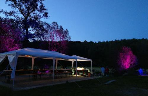 Wald-Apartment - Foto 59