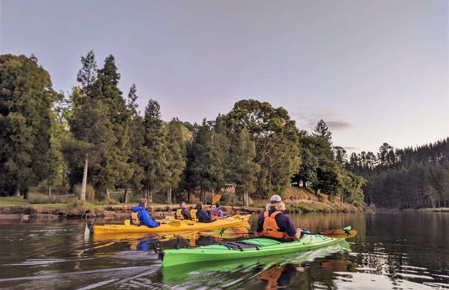 Tour en kayak por el lago McLaren - Foto 3