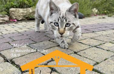 La Terrazza di Cirico' - Foto 51