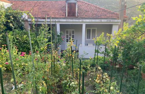 Marija Apartment - Photo 29