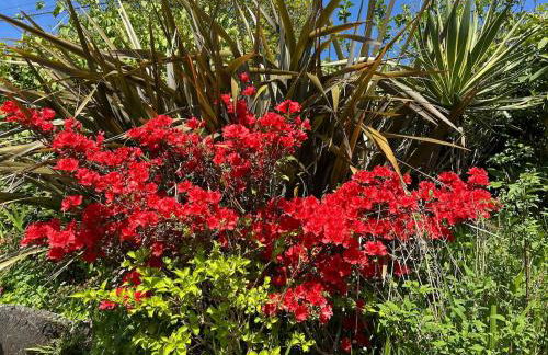 Mawddach View, Snowdonia Hot tub & Pet friendly - Foto 32