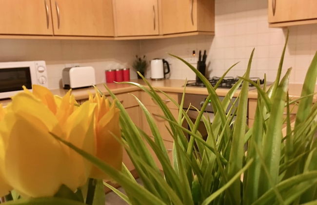 Eastleigh House near Airport - Foto 9