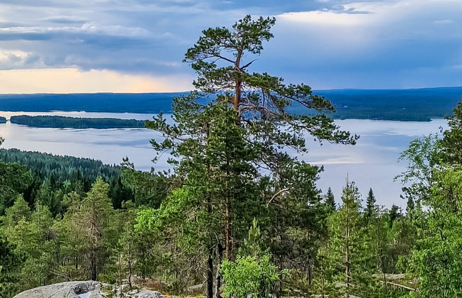 Villa savonia - Foto 22