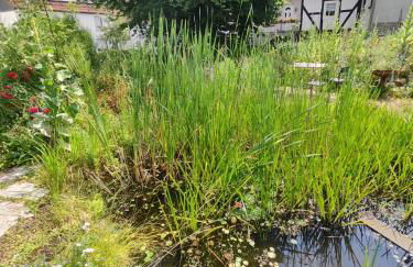 Mammut Apartments Monteurunterkunft - Foto 18