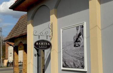 Babina Loft - Foto 2