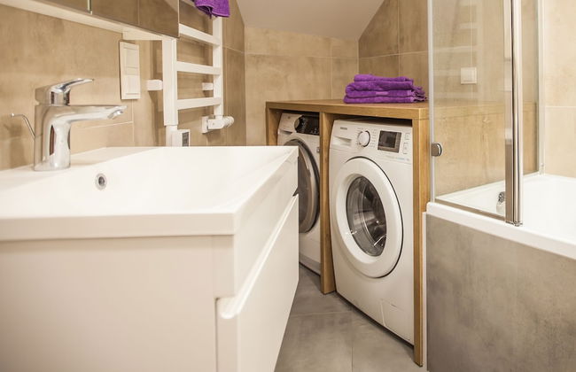 Penthouse in the City Center - Photo 23