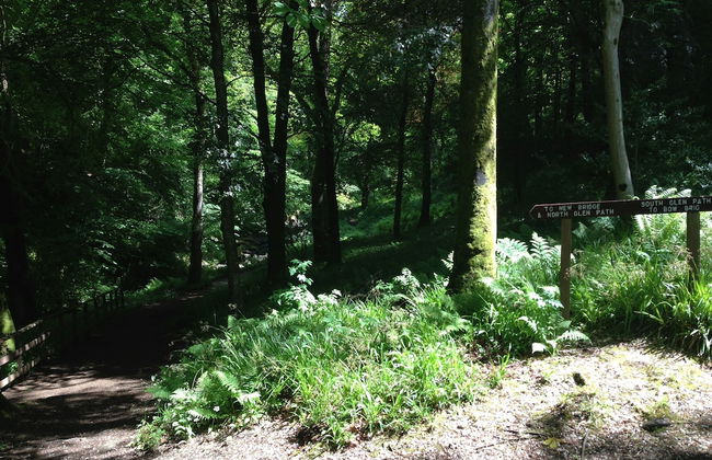 Stunning Premium Yurt in Kelburn Estate Near Largs - Foto 19