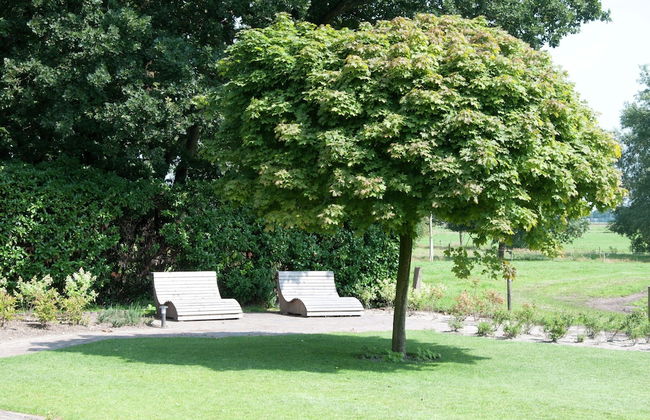 Mansion in Nijensleek With Sauna & Garden - Foto 26