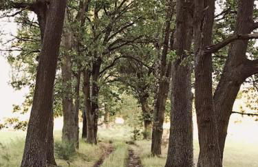Auszeit auf dem Land im Forsthaus Hohe Heide - Foto 32
