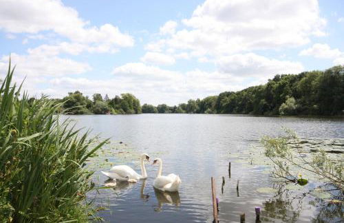 Herrenhaus Hohewarte - Foto 26