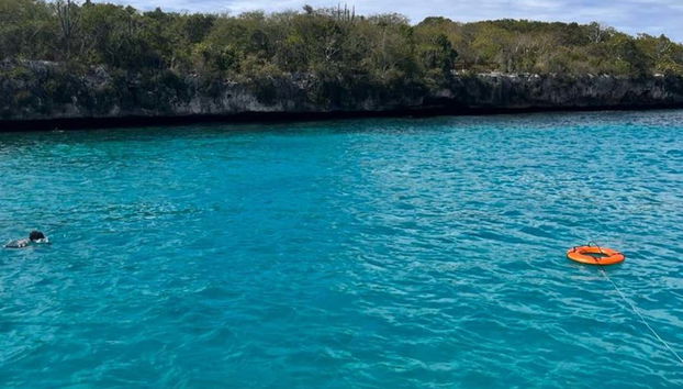 Catalina Island & Chavon River Day Trip - Foto 4