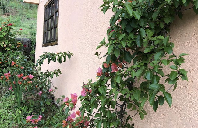 Viña Real Cabañas Rotamundos - Foto 44