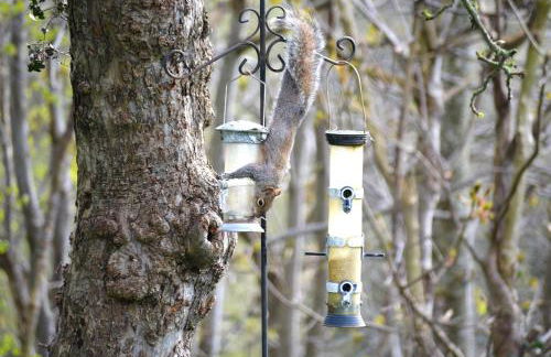 Family Retreat or Romantic Break - Foto 36