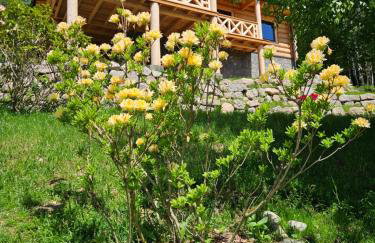 AleBale Przesieka luksusowy dom z bali z widokiem na Karkonosze - Foto 6