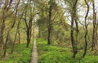 Ferienhaus Vennblick - Foto 50