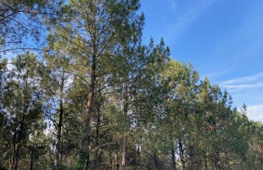 Five and You - Foto 24