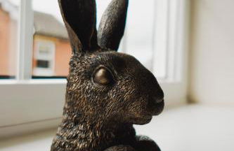 Corner Cottage - character, charm, great location. - Foto 35