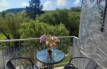 Eifel Urlaub mit Hunden Ferienhaus Schwalbennest Schalkenmehren - Foto 10