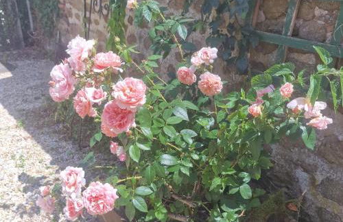 Gîte l'étable détente SALLE SPA EN SUPPLEMENT - Photo 10