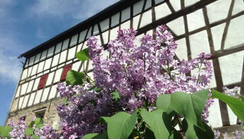 Gut Bunt Ferienhaus - Photo 5