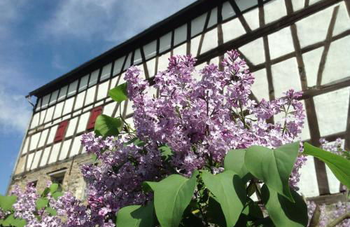 Gut Bunt Ferienhaus - Photo 5