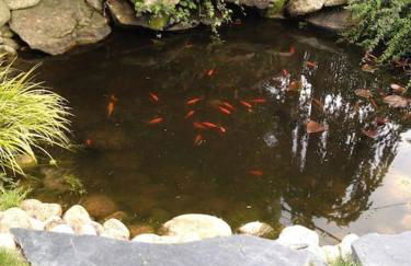 Los Rosales de Venturada - Foto 48