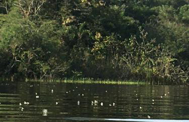 Casa Amarela - Foto 12