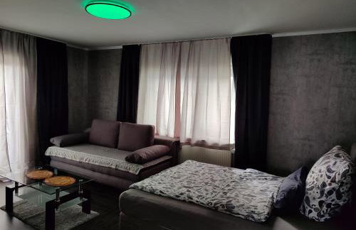 Ferienwohnung Rhein-Main II - Foto 48