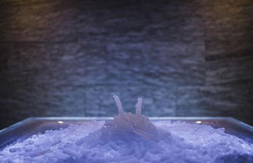 AhriaPura - Photo 59