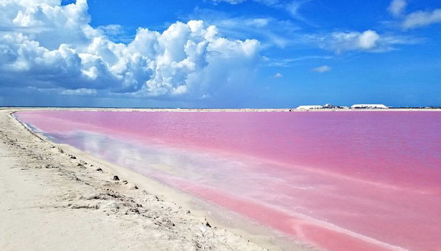 Tour Paradisiaco: Lago Rosa Las Coloradas y Rio Lagartos con Almuerzo incluido. - Foto 4, Contraste de color