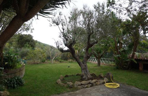 Finca Las Canitas - Ferienhaus Teneriffa - Foto 9