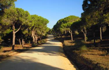 Casas Karen - Foto 20