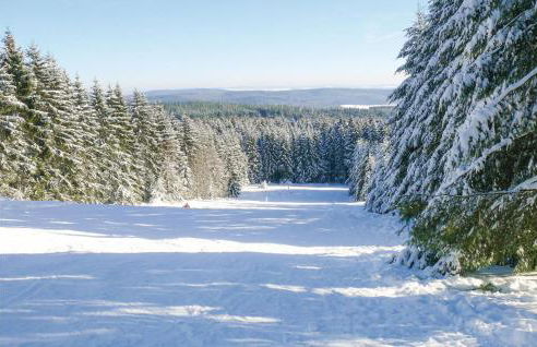 Ferienhaus 1 Wolfschlucht - Foto 21