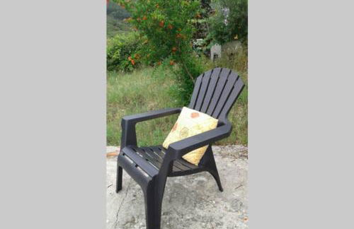 Palheirinho - Foto 37