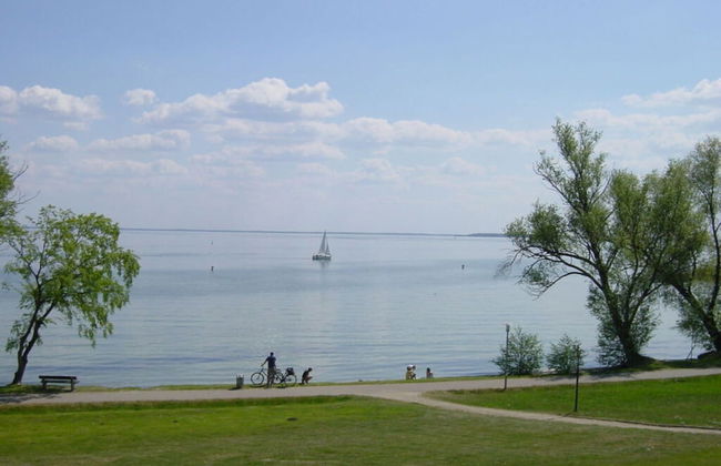 Villa am Weinberg Waren - Foto 10