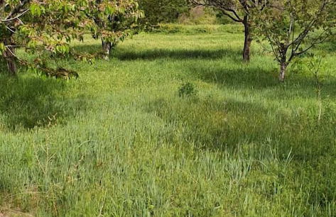 Cappadocia Deep Cave House - Foto 22