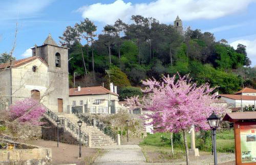 Cozy studio with mountain view - 20 m² - Águeda - Foto 15