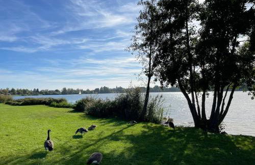 Gemütliches Ferienhaus im Seegebiet Inheiden - neu - Photo 15