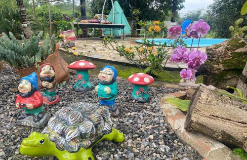 Hospedagem Recanto das Orquideas - Photo 43