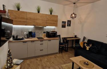 Dusznickie Apartamenty z widokiem - Foto 54