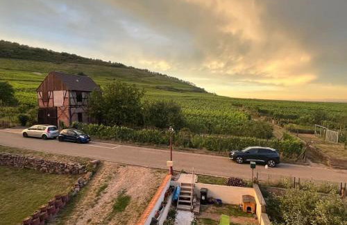 Au cœur du vignoble Alsacien - Foto 20