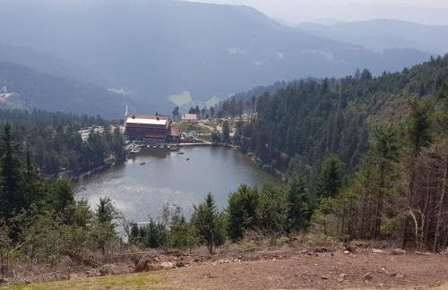 Apartment Bär by Interhome - Foto 24