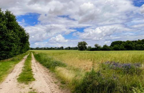 Lerchenhof in Reestow - Foto 52