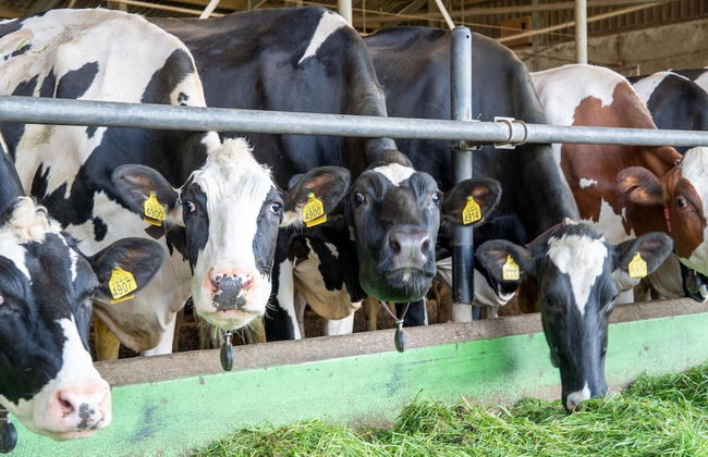 Eibergen Holiday Retreat Home - Foto 15