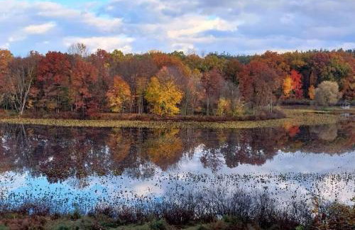 Smitten in da Mitten - 18 acres, Arcades, High Spd Web, Hot Tub, Pond! - Foto 1